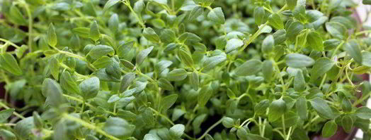 закусочные яичные маффины. Шаг 11