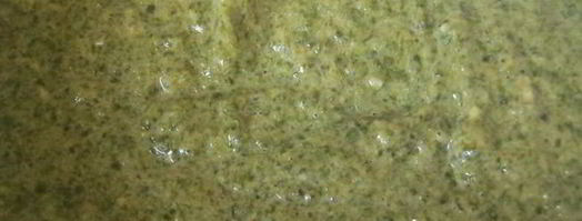 силка — оладьи из свекольной ботвы. Шаг 2