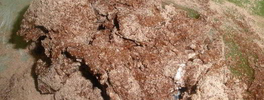 печенье шоколадные трещины. Шаг 2