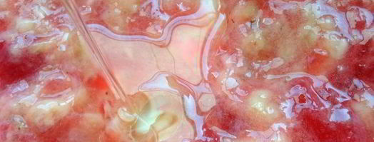 постное банановое печенье. Шаг 5