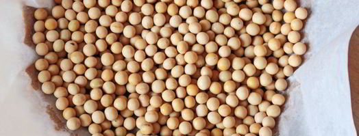 пирог с грибами. Шаг 8