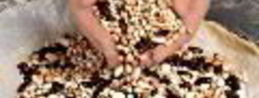 пирог сантьяго. Шаг 2