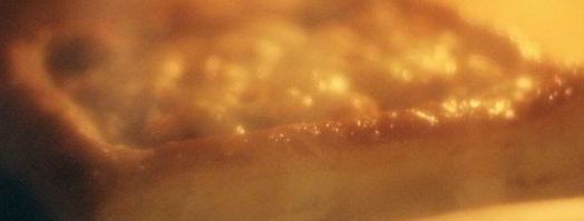 слоеный пирог с форелью и шпинатом. Шаг 9