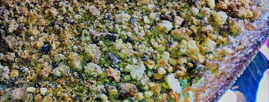 турецкий шоколадный пирог. Шаг 9