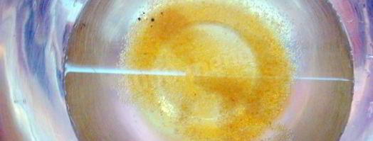 жареные постные дрожжевые пирожки на сухих дрожжах с капустой за 15 минут. Шаг 2