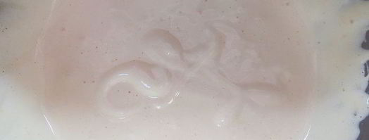 каштановый брауни. Шаг 7