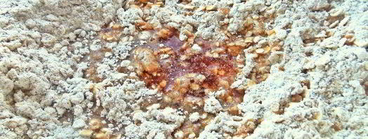 овсяные пирожные с шоколадной прослойкой. Шаг 3