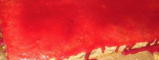 песочное пирожное малинка. Шаг 11