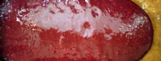 пирожное малина в шампанском. Шаг 9