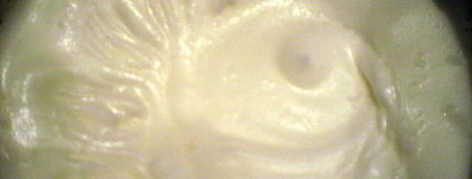 пирожное весенняя свежесть. Шаг 9