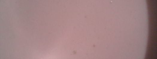 пирожные медовое наслаждение. Шаг 10