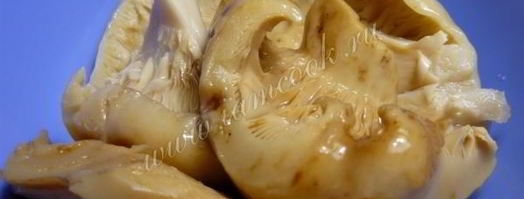 пицца по-деревенски. Шаг 5