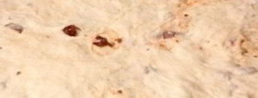 пицца с авокадо. Шаг 4