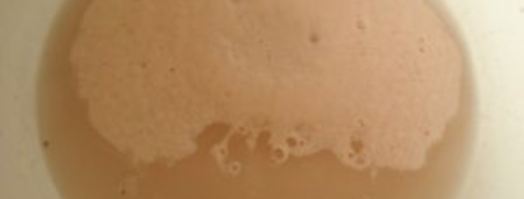 пицца с колбасой и пицца с морепродуктами. Шаг 2