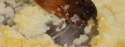 турецкая пицца лахмакун. Шаг 9