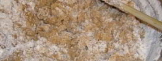 медовые пряники. Шаг 4