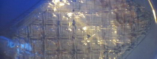 клубнично-творожная шарлотка. Шаг 2