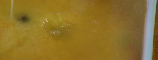 лимонная шарлотка с голубикой. Шаг 10