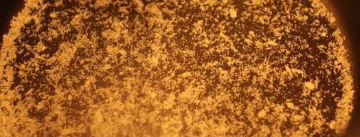 шарлотка с черной смородиной из мультиварки. Шаг 3