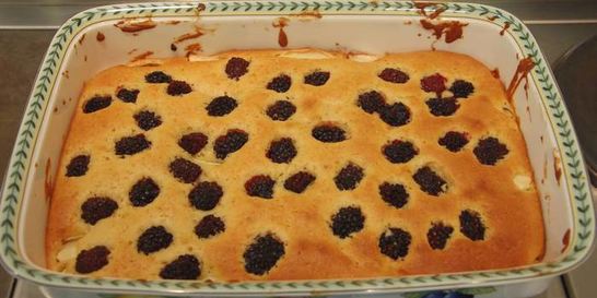 Шарлотка с ягодами