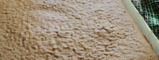 шоколадно-апельсиновый рулет. Шаг 6