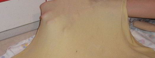 венский яблочный штрудель. Шаг 5