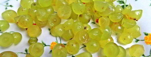 сырники праздничные. Шаг 6