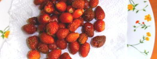 сырники с клубникой. Шаг 6