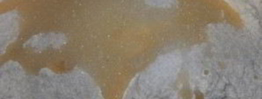 сдобное дрожжевое тесто в хлебопечке. Шаг 2