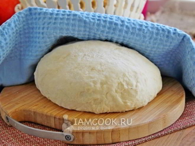 Рецепт теста для пирогов на майонезе