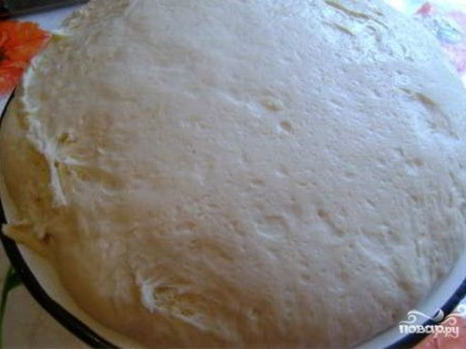 Рецепт теста на кефире с дрожжами