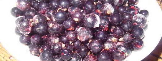 бисквитный торт мелодия. Шаг 11