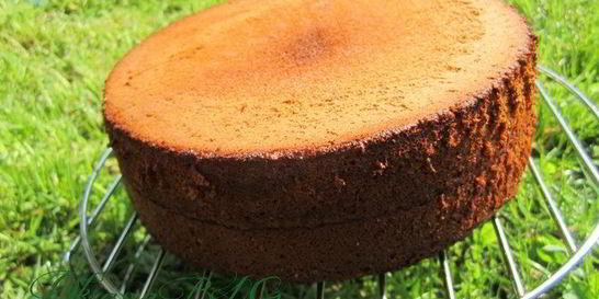 Медовый бисквит