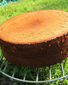 Медовый бисквит