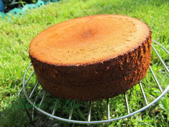 Рецепт медового бисквита