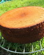 Медовый бисквит