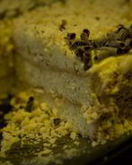 Торт Кутузов