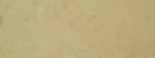 торт весенний поцелуй с кокосовым, мятным и ванильным баваруа. Шаг 15