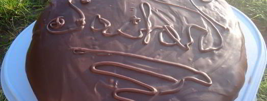 торт захер. Шаг 12