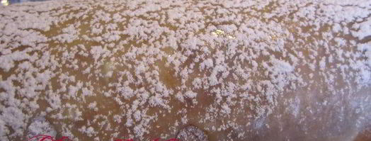 весенний рулет. Шаг 19