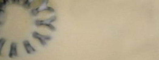 запеканка из семги. Шаг 2