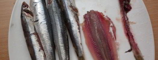 анчоусы маринованные. Шаг 3