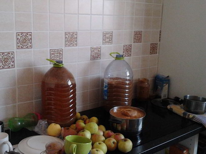 Рецепт домашнего яблочного сока на зиму