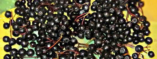 яблочный джем с черноплодной рябиной. Шаг 3