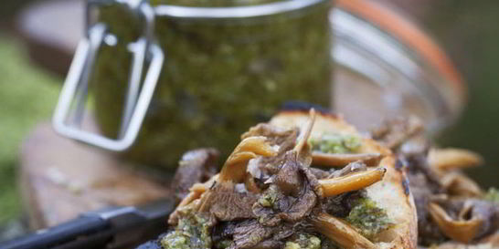 Икра из груздей