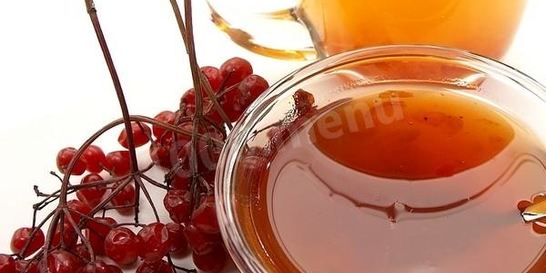 Калина с медом на зиму