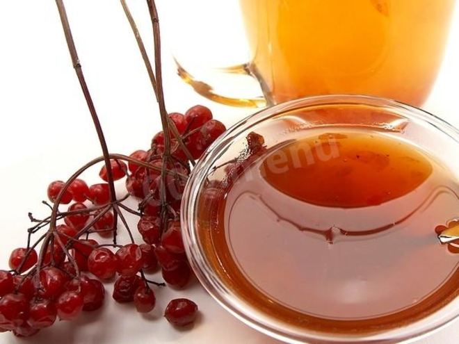 Рецепт калины с медом на зиму