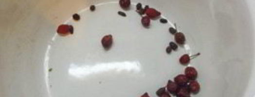 имбирный компот. Шаг 3