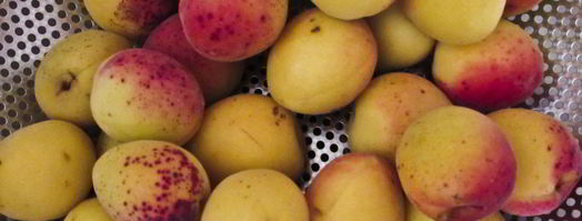 компот из абрикосов и яблок на зиму. Шаг 2