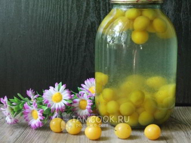 Рецепт компота из алычи на зиму